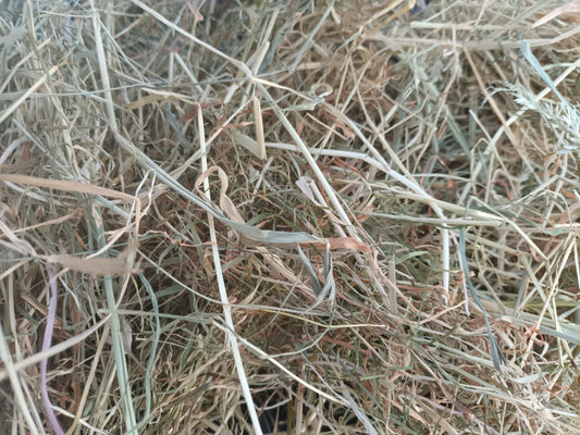Meadow Hay